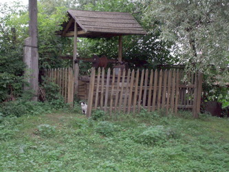 Фото сделано:&nbsp; августа 2006 г  Меленск.