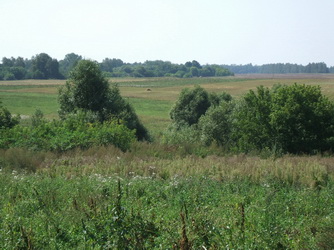 Фото сделано:&nbsp; августа 2007 г  Меленск.