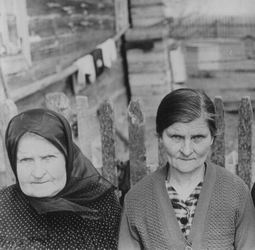 Фото сделано:  Волчки.